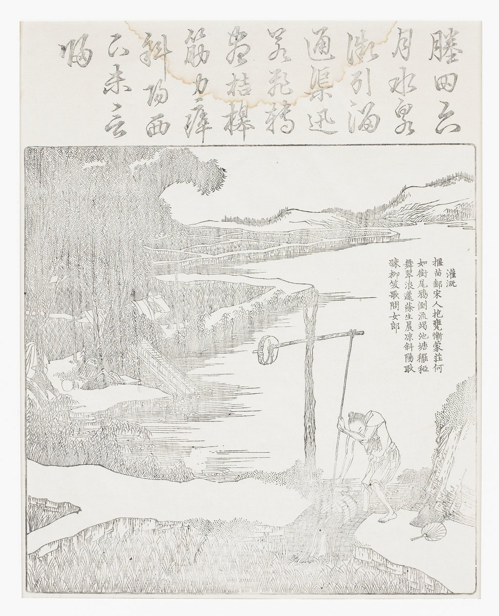 çeltik sulama by School Chinese