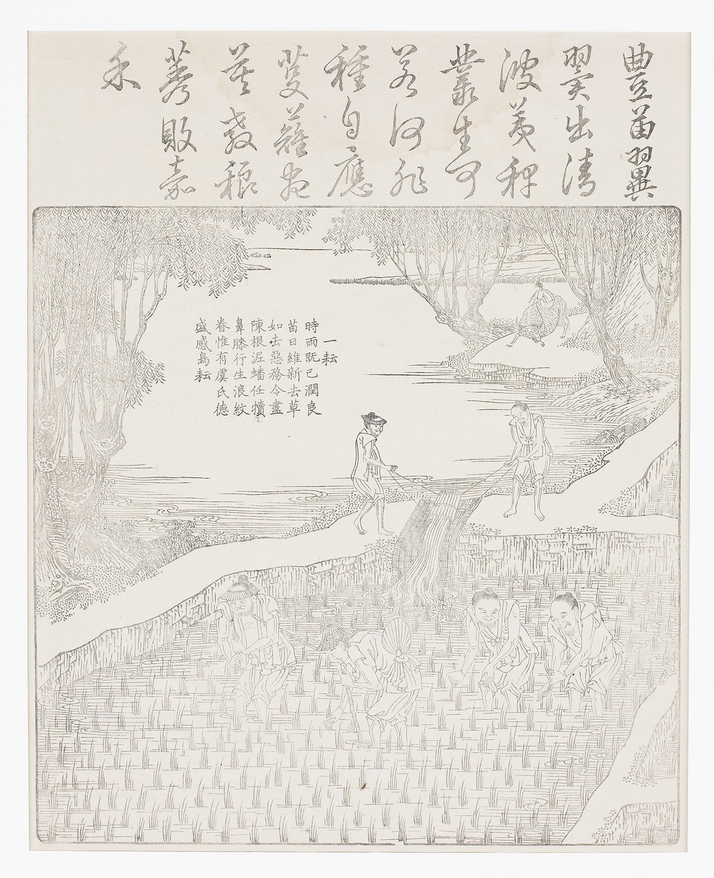 pirinç sulama by School Chinese
