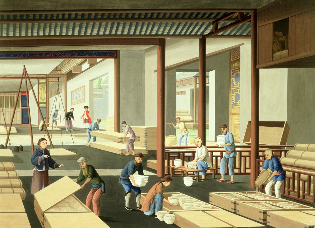  by School Chinese