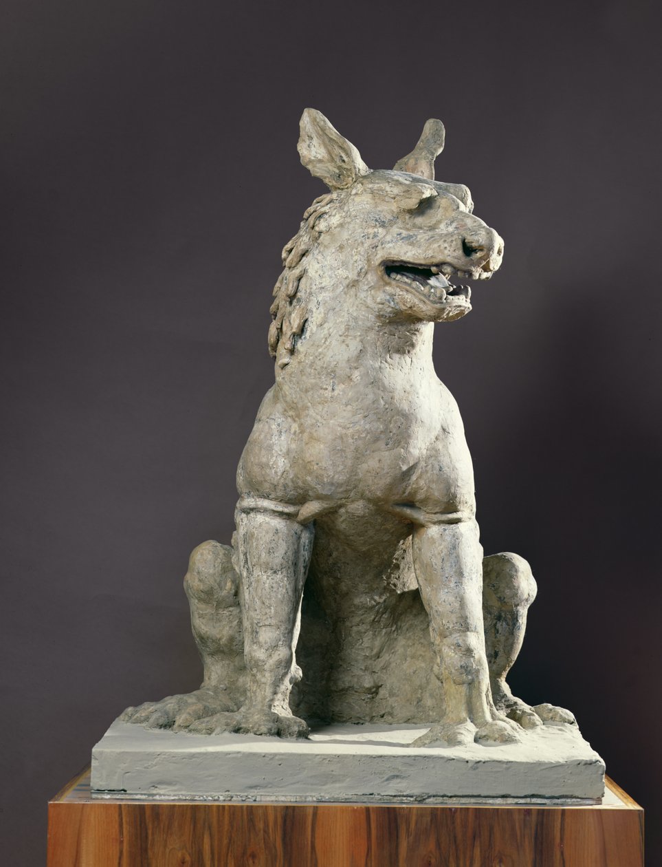 Çin