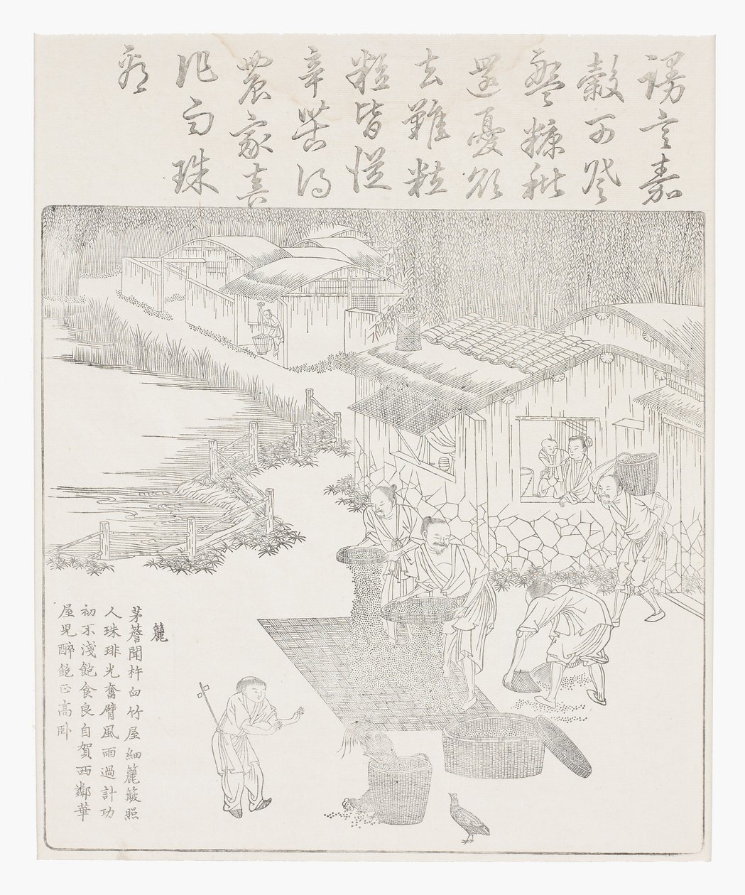 pirinci elemek by School Chinese
