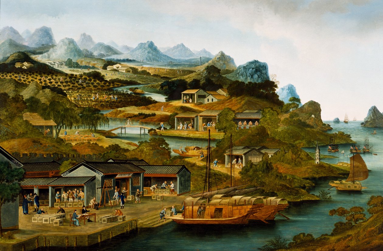  by School Chinese