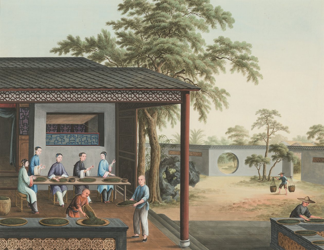  by School Chinese