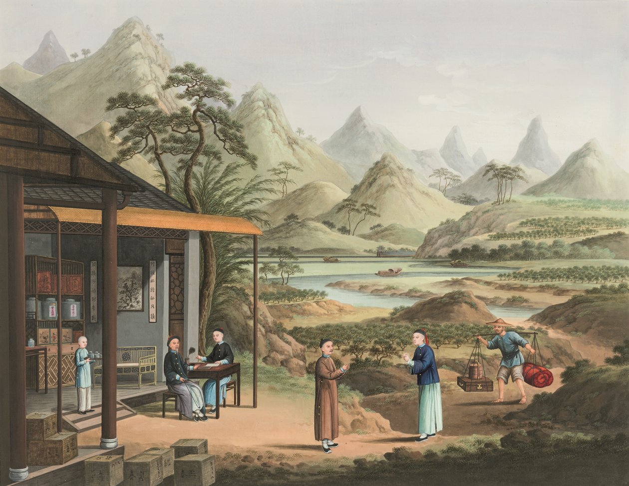  by School Chinese