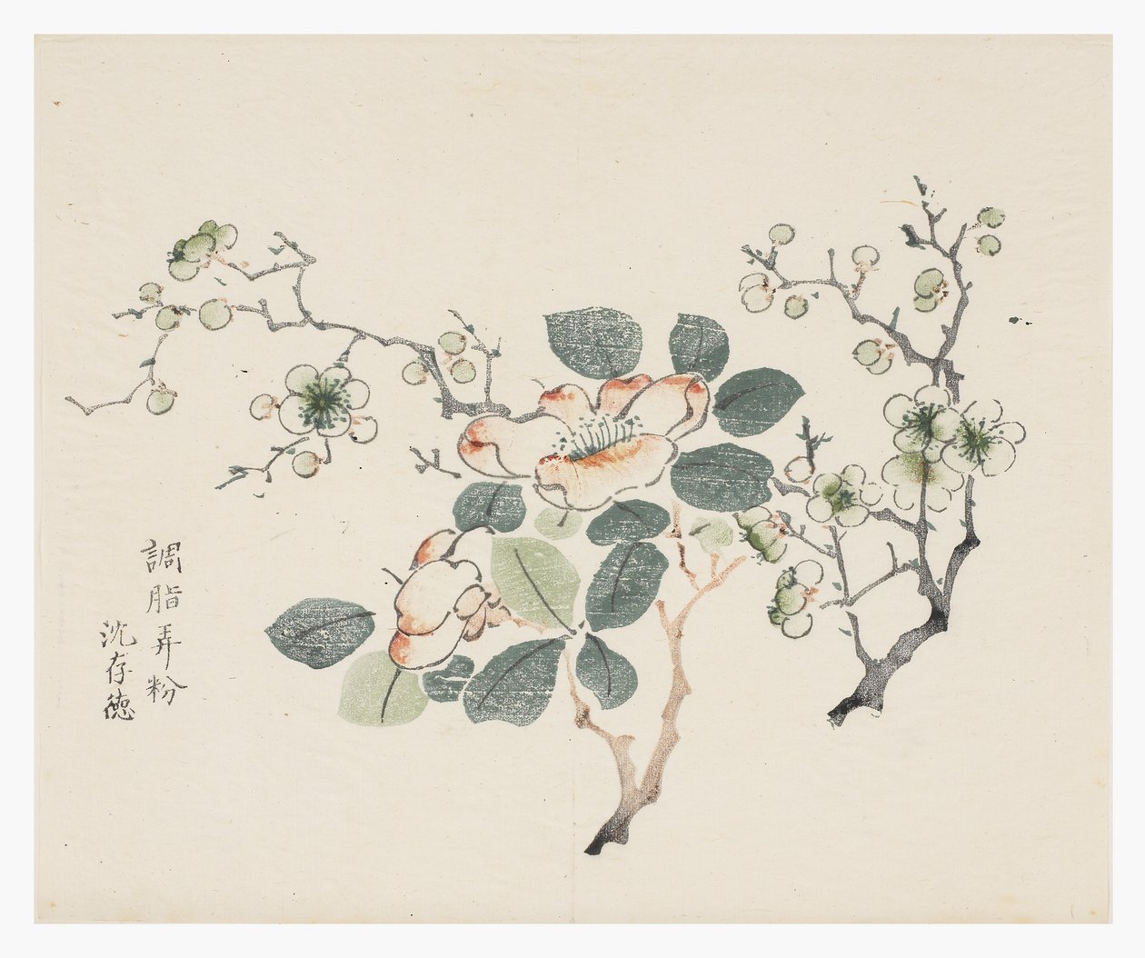 On Bambu Serisi by School Chinese