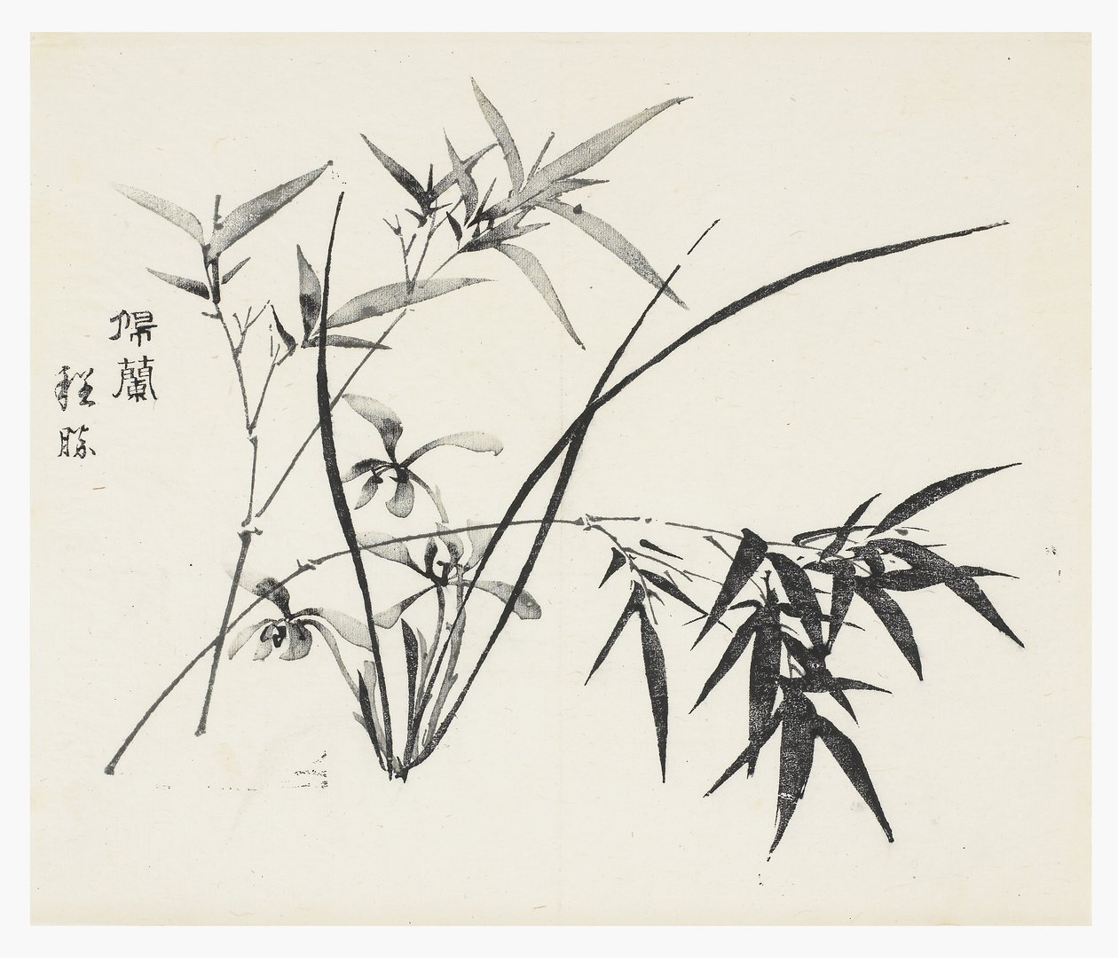 On Bambu Serisi by School Chinese