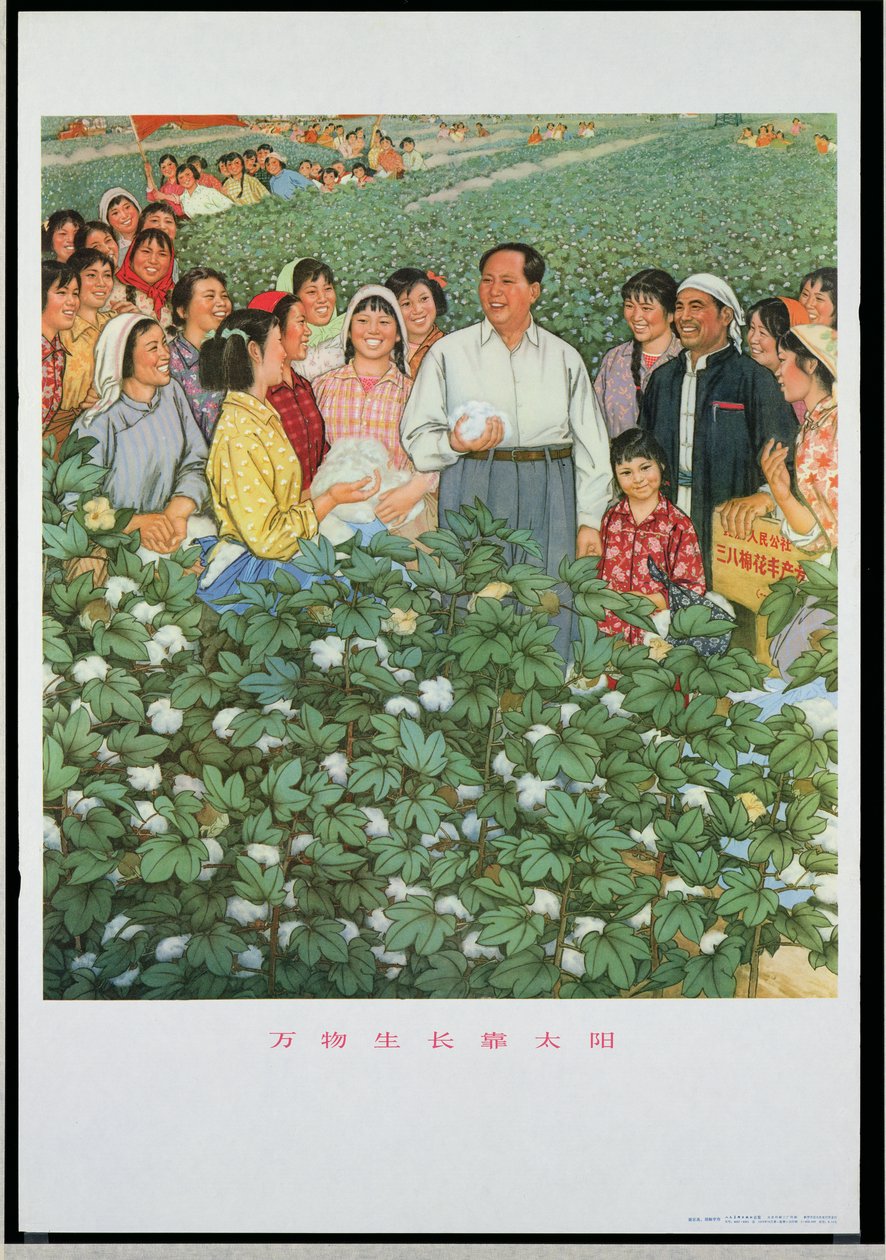  by School Chinese