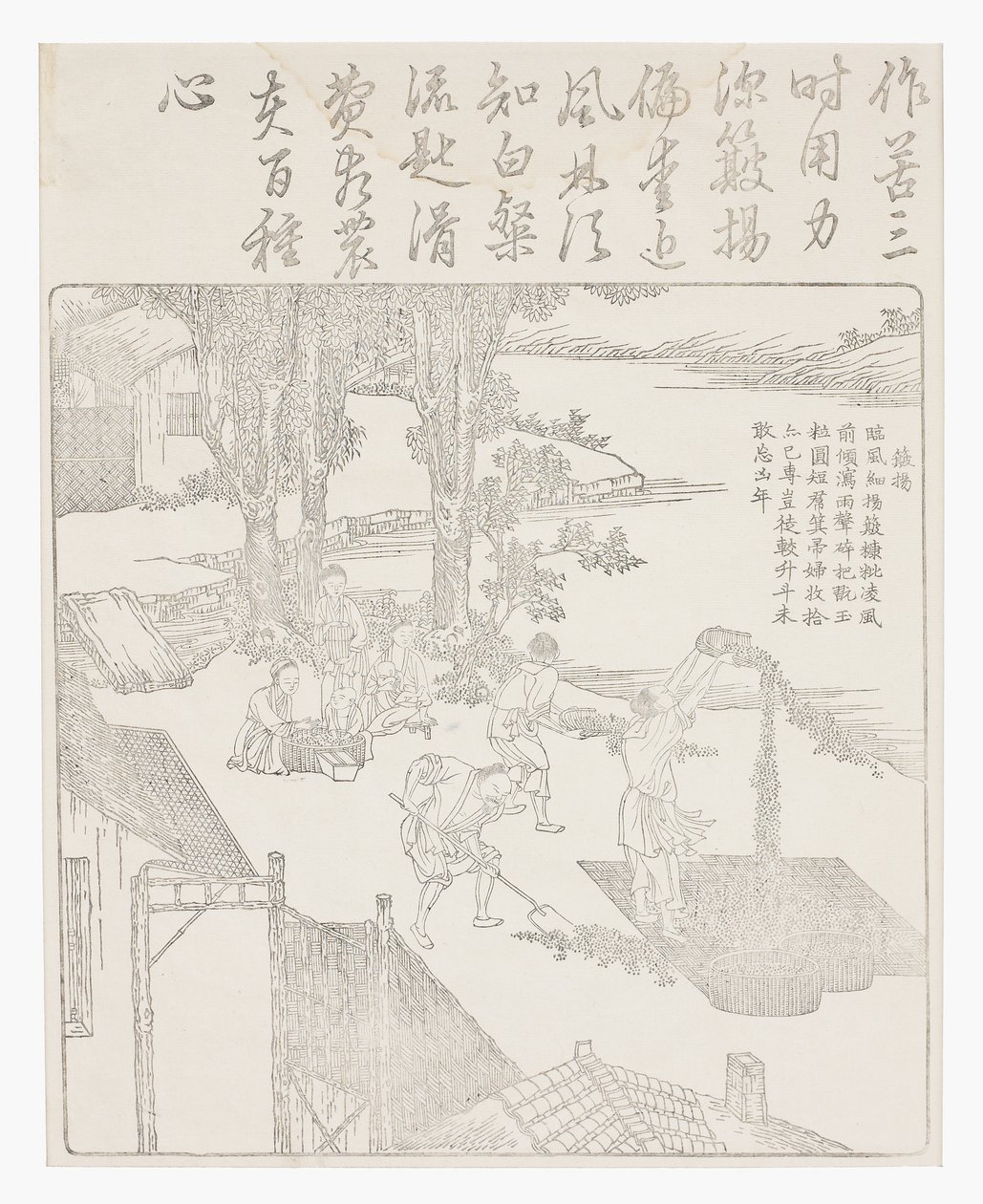 pirinç kazanmak by School Chinese