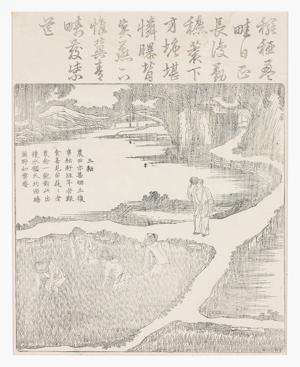 çeltikte çalışmak by School Chinese