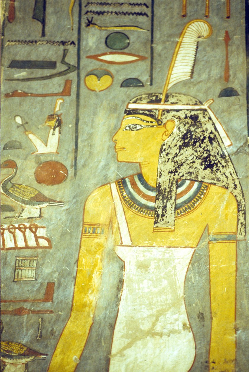  by School Egyptian