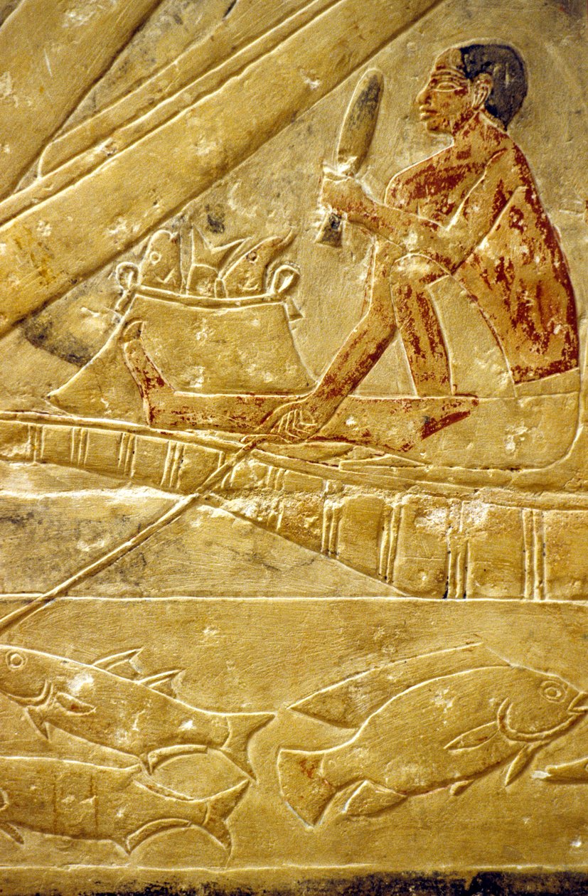  by School Egyptian