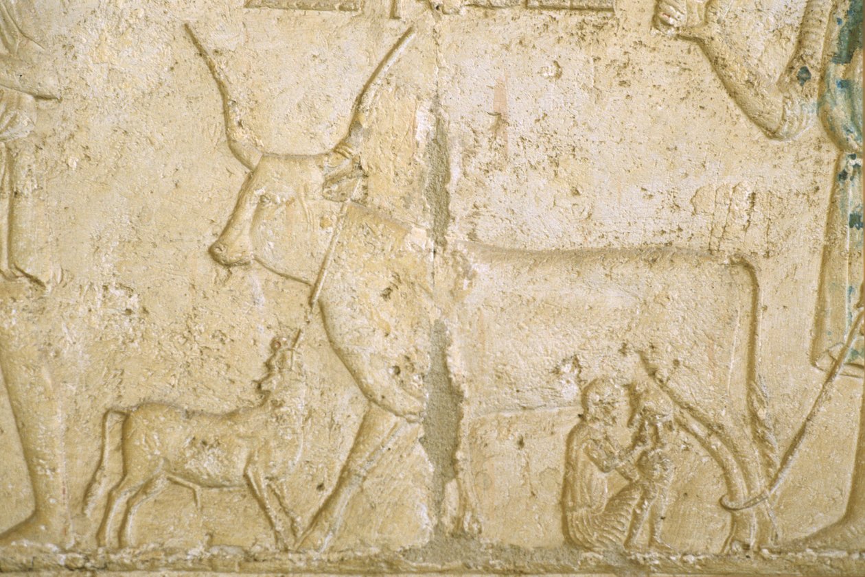  by School Egyptian