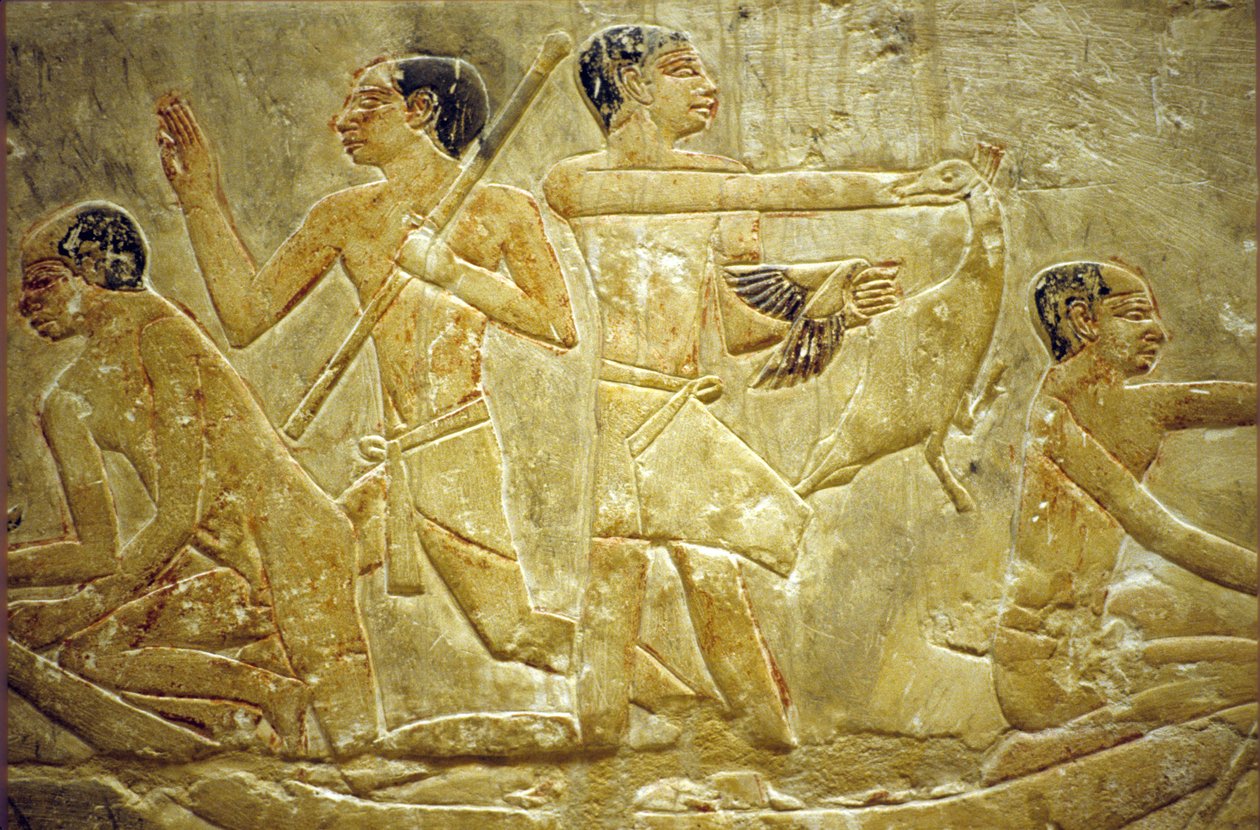  by School Egyptian