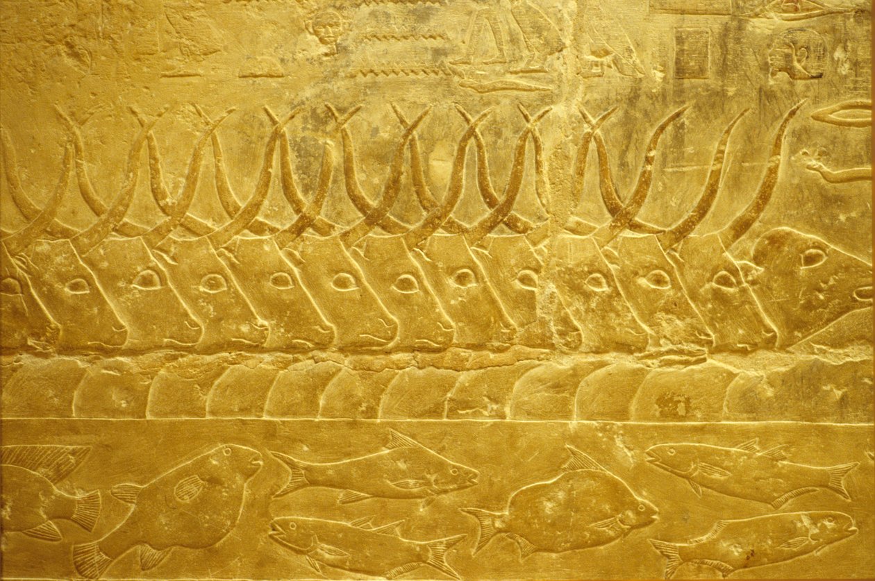  by School Egyptian