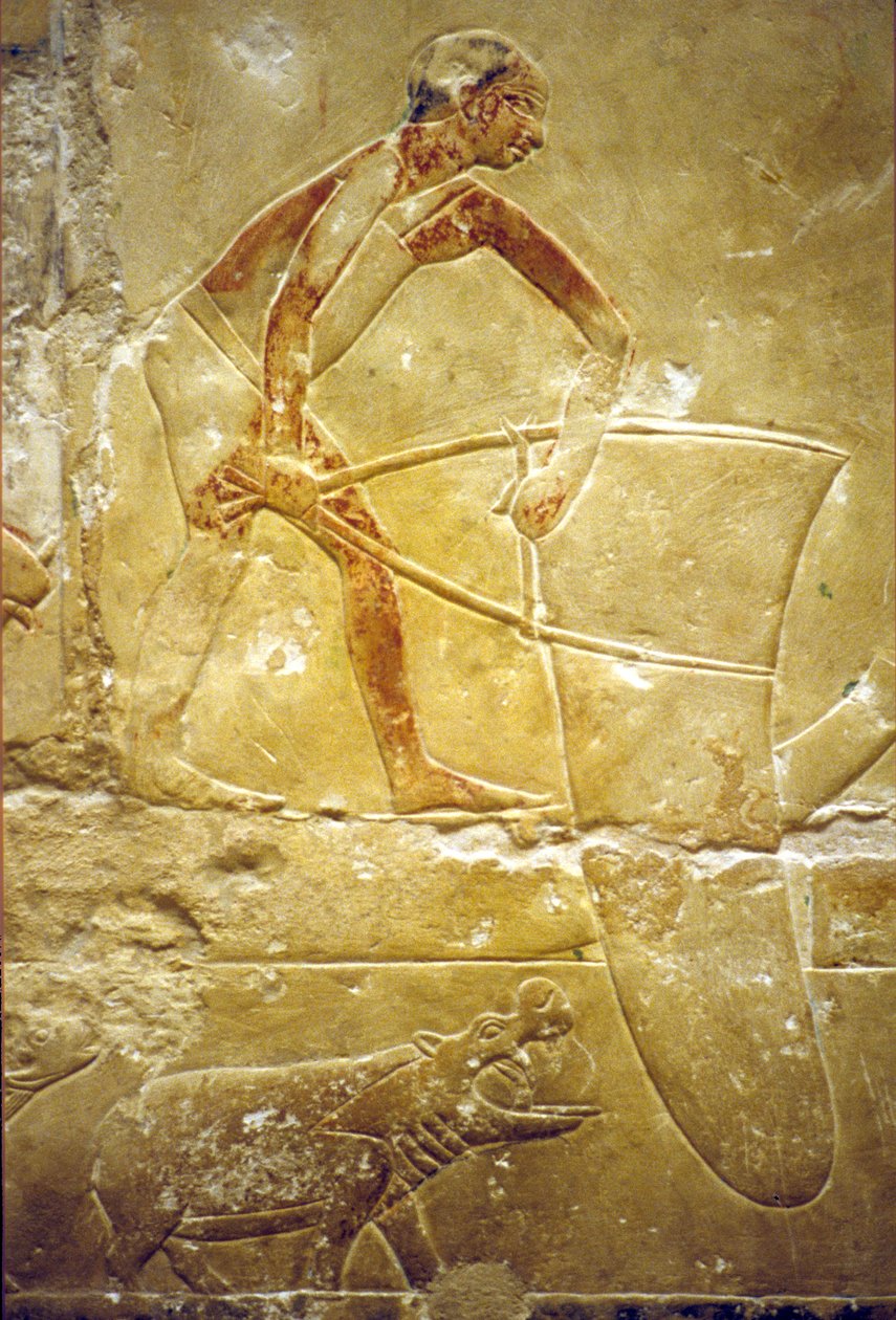  by School Egyptian
