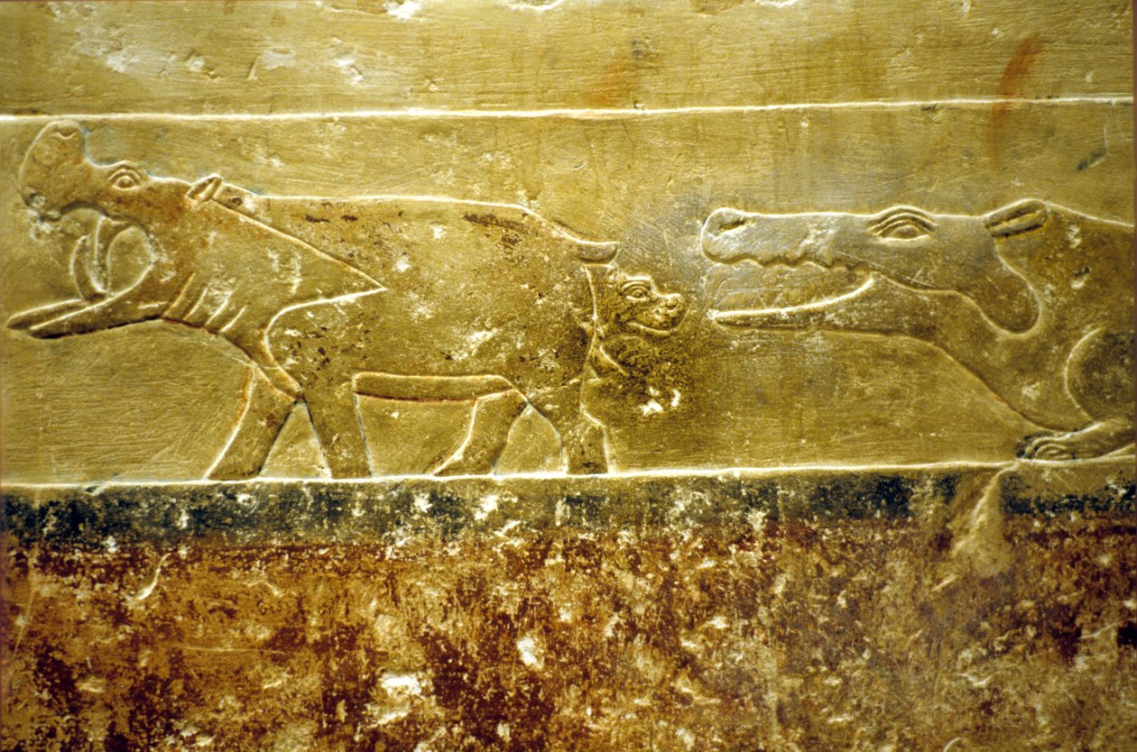  by School Egyptian