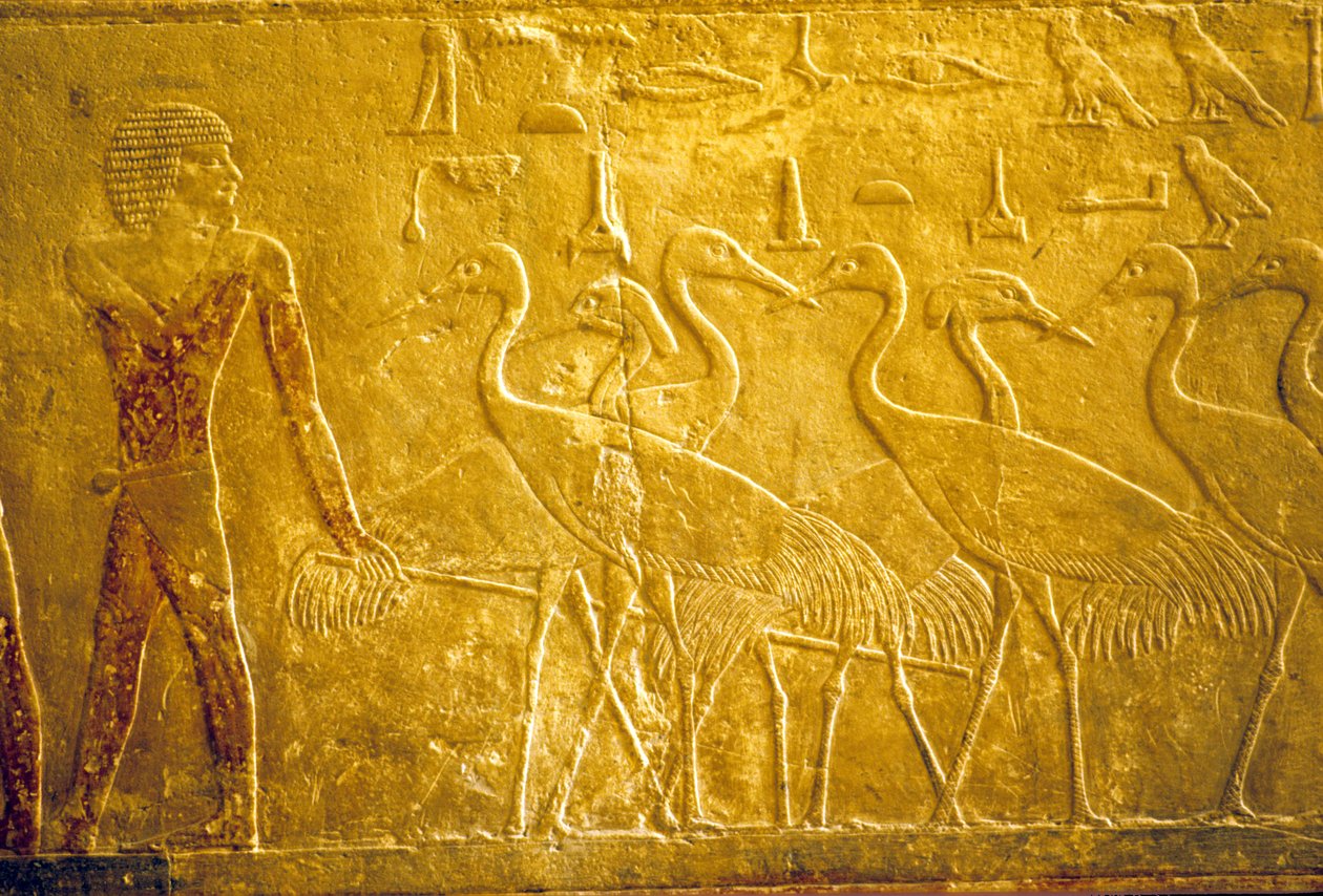  by School Egyptian