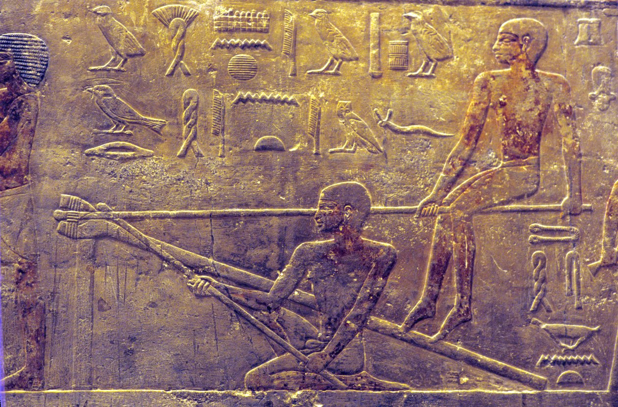  by School Egyptian