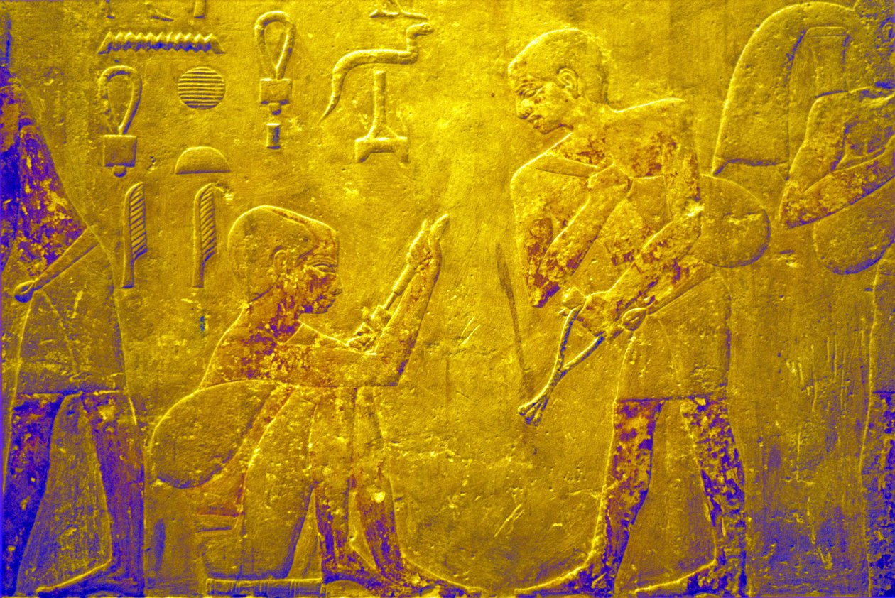 Antik Mısır, Duvar oyma/boyama, Mastaba/Ti Mezarı, Saqqara, 5. Hanedan, Pazarda mal ticareti (fotoğraf) by School Egyptian