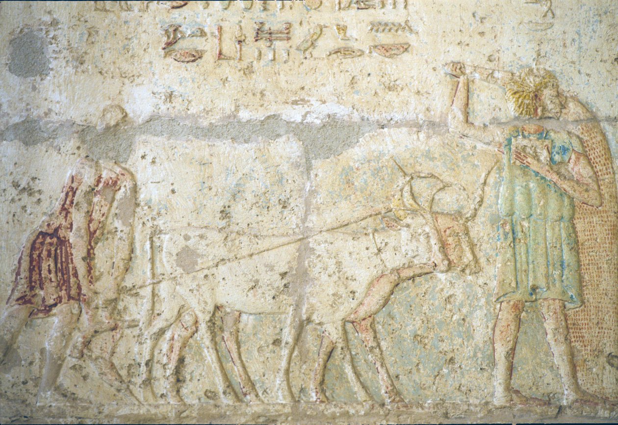  by School Egyptian