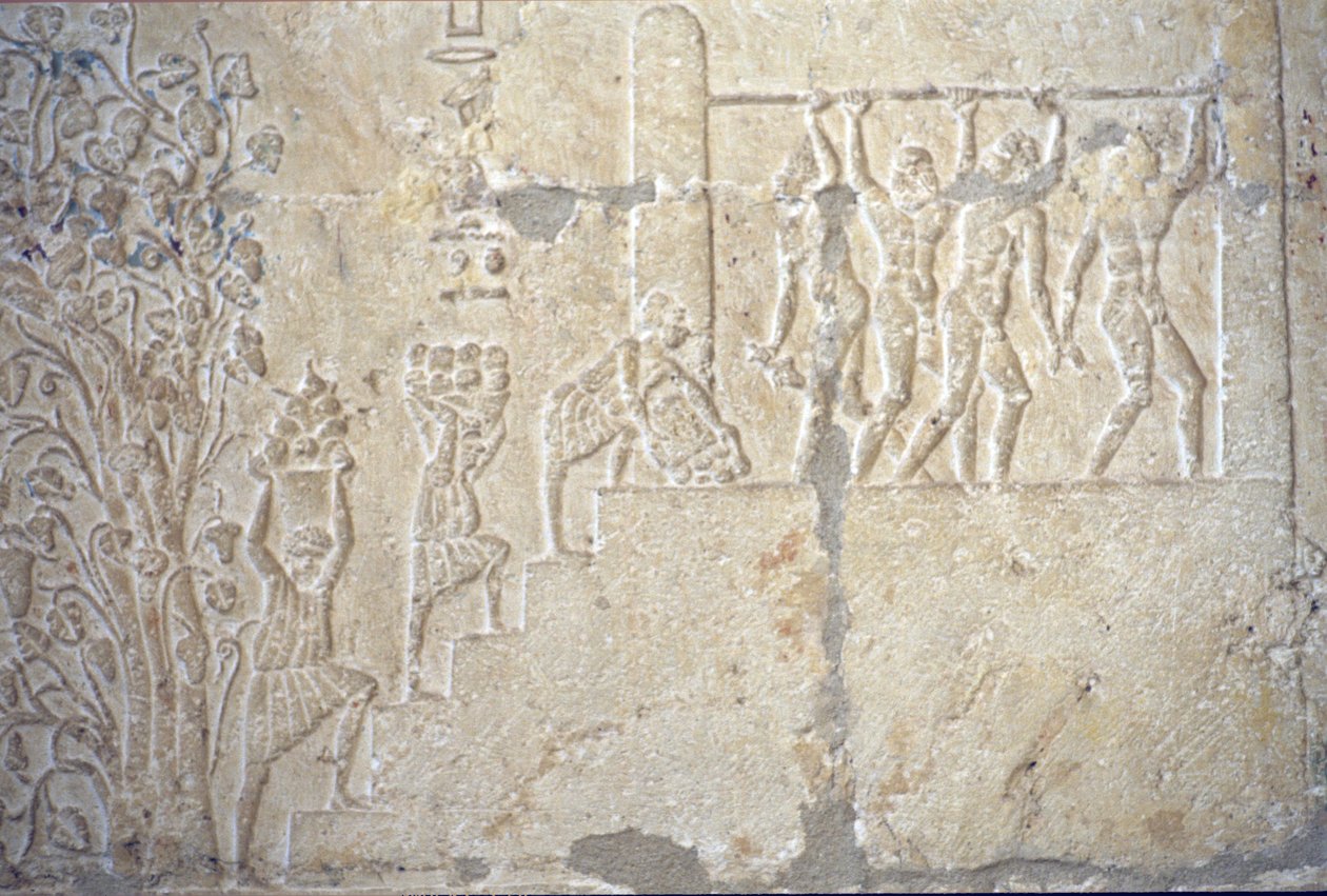 Antik Mısır, Duvar oyma/boyama, Petosiris Mezarı, Tuna el Gebel, MÖ 300, Şarap hasadı, Şarap yapımı, Şarap presi (fotoğraf) by School Egyptian