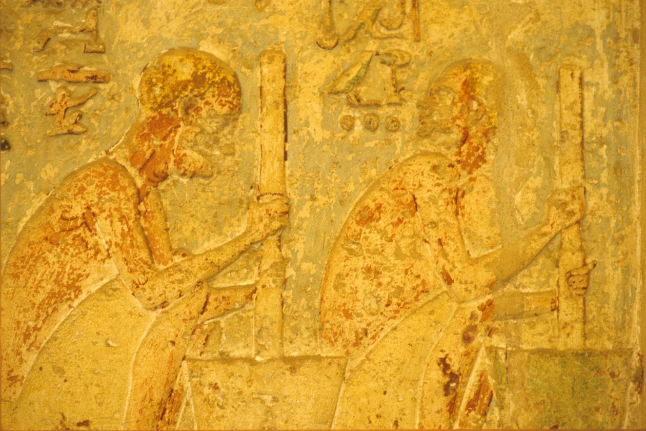  by School Egyptian