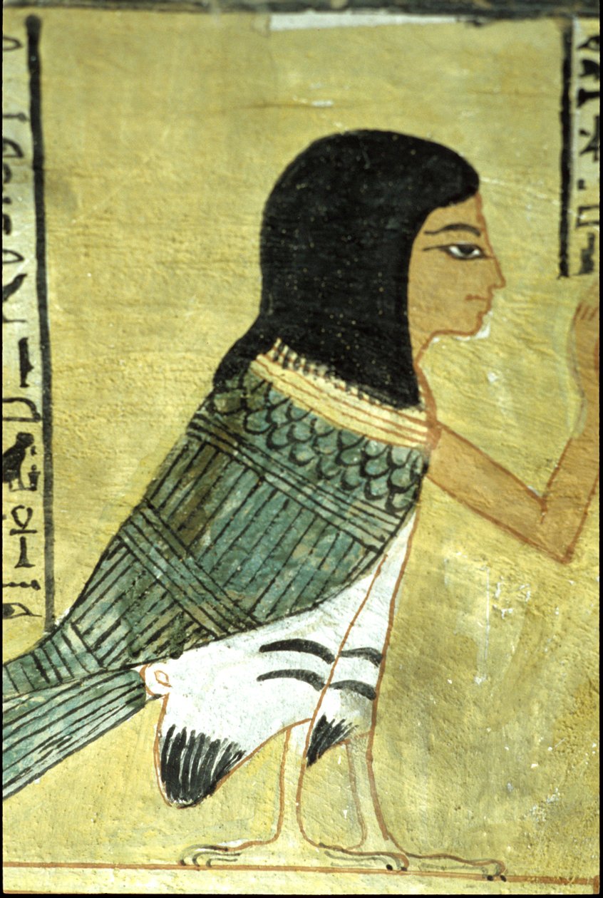  by School Egyptian