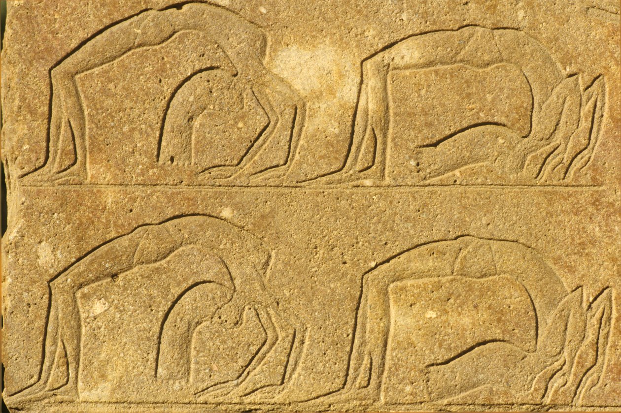  by School Egyptian