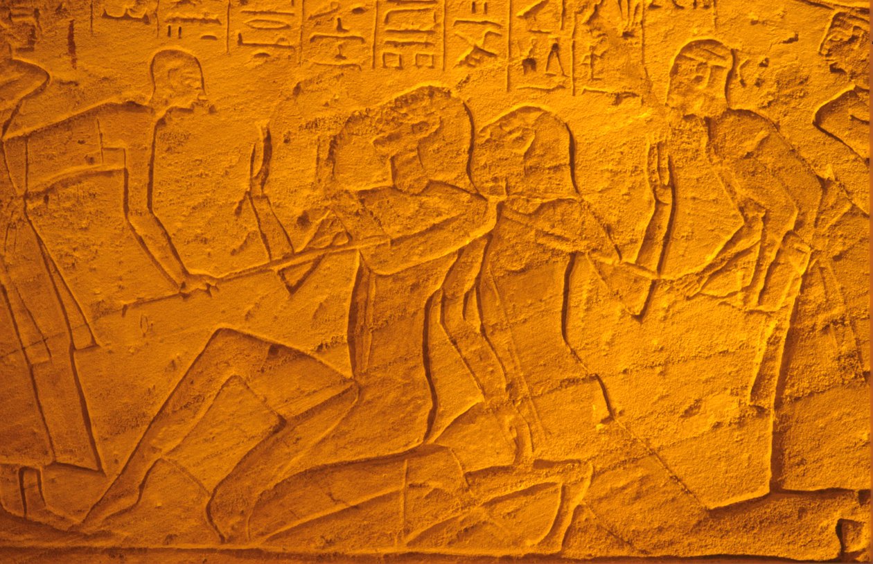  by School Egyptian