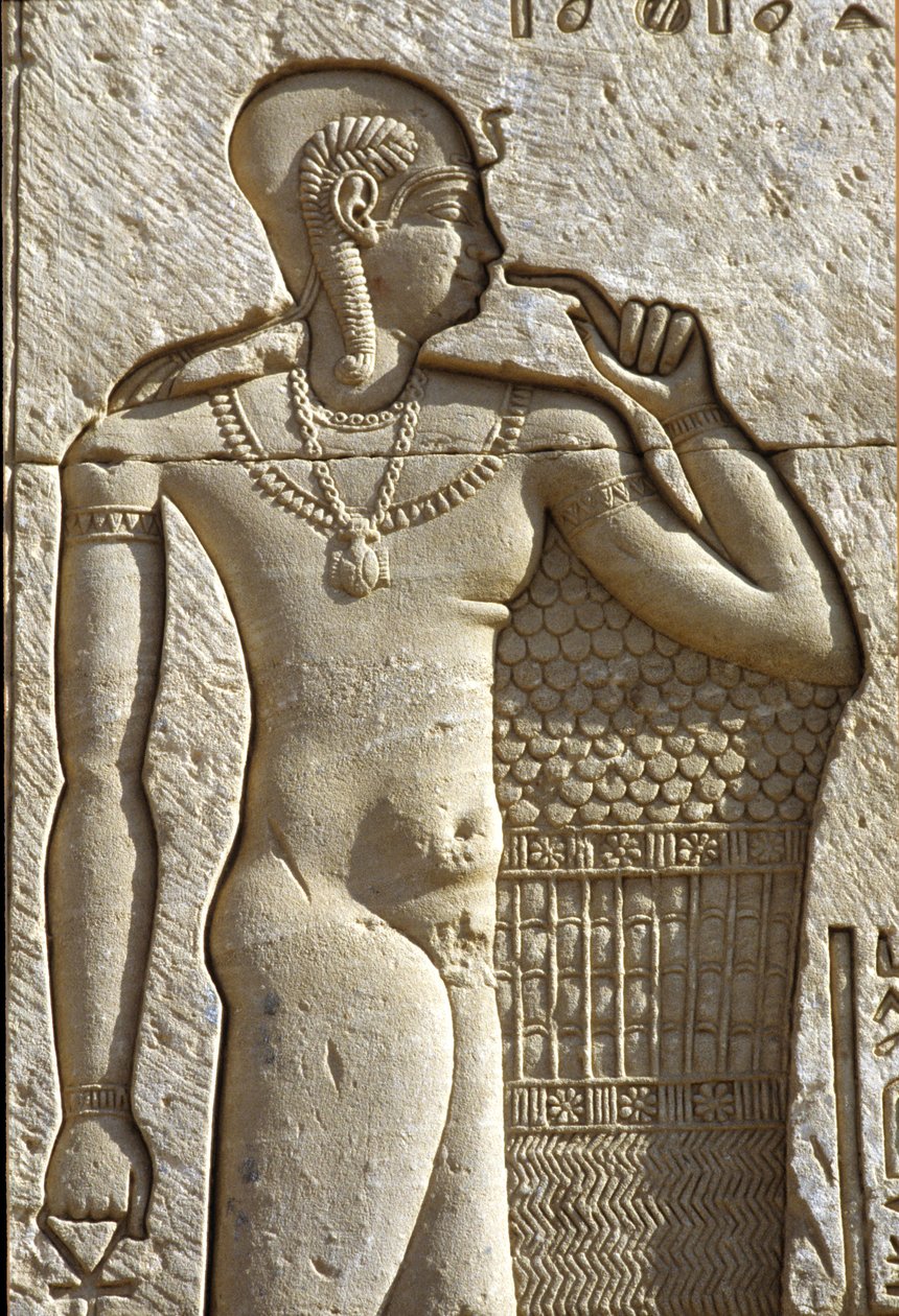  by School Egyptian