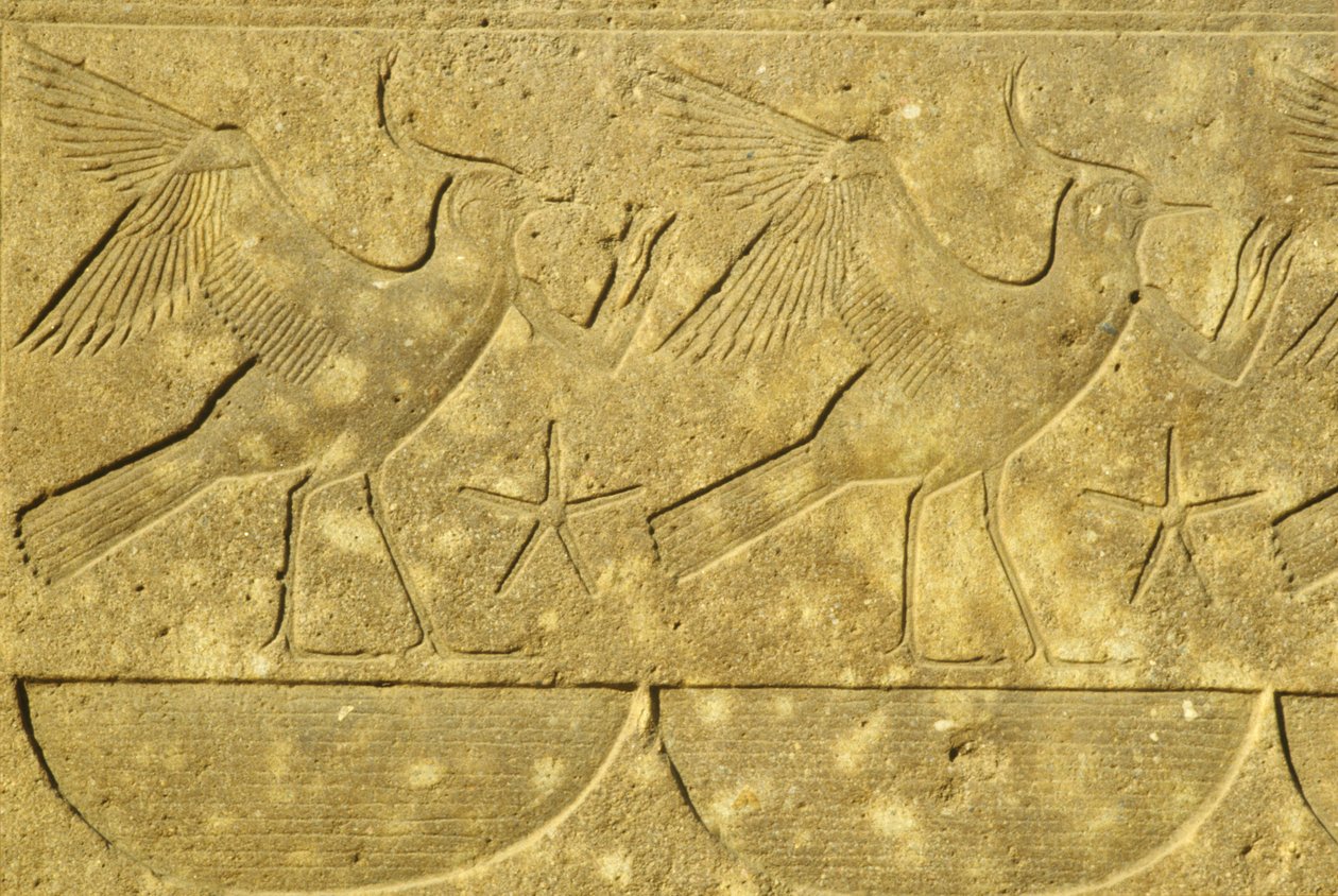  by School Egyptian