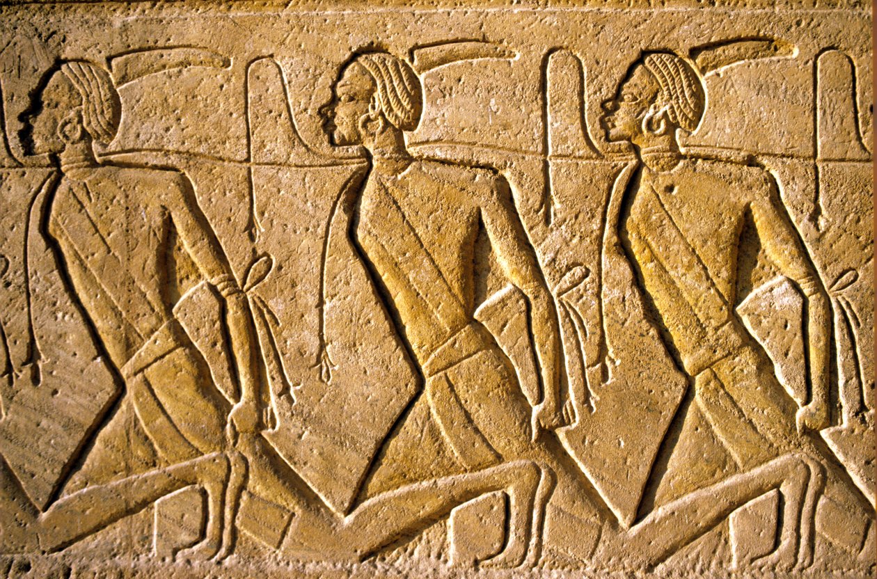  by School Egyptian
