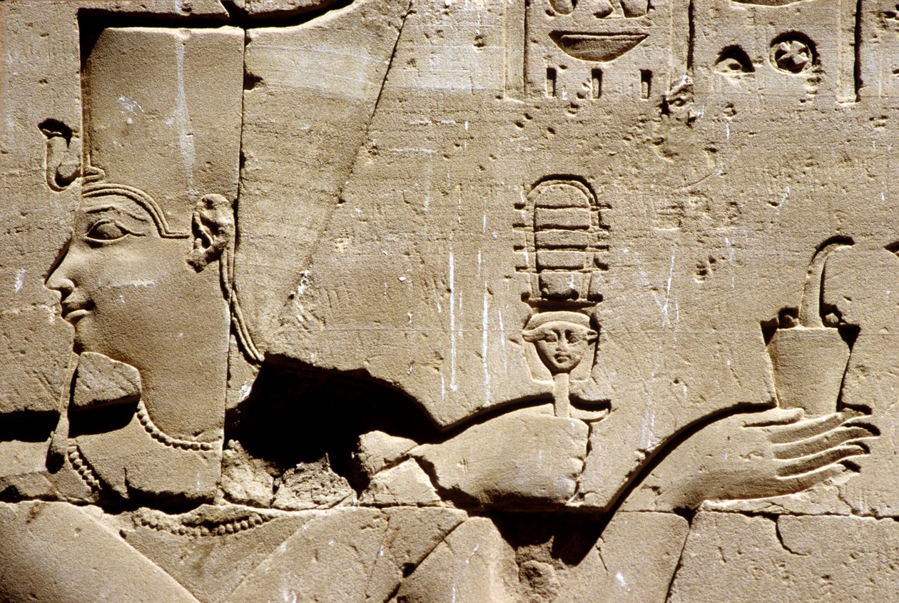  by School Egyptian