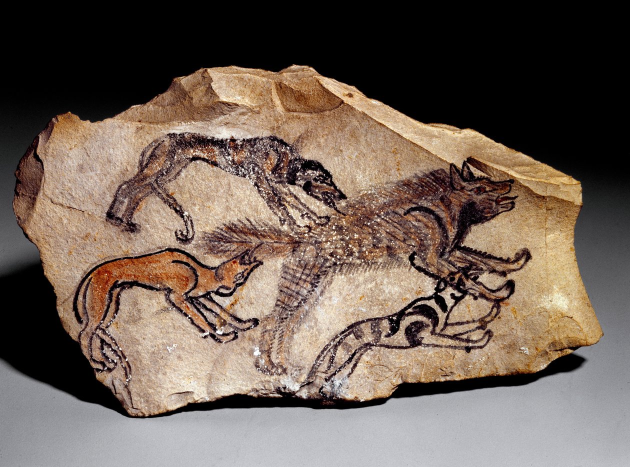 Sırtlan avlayan köpekler (Taş gravürü, MÖ 1300-1100 dolayları) by School Egyptian