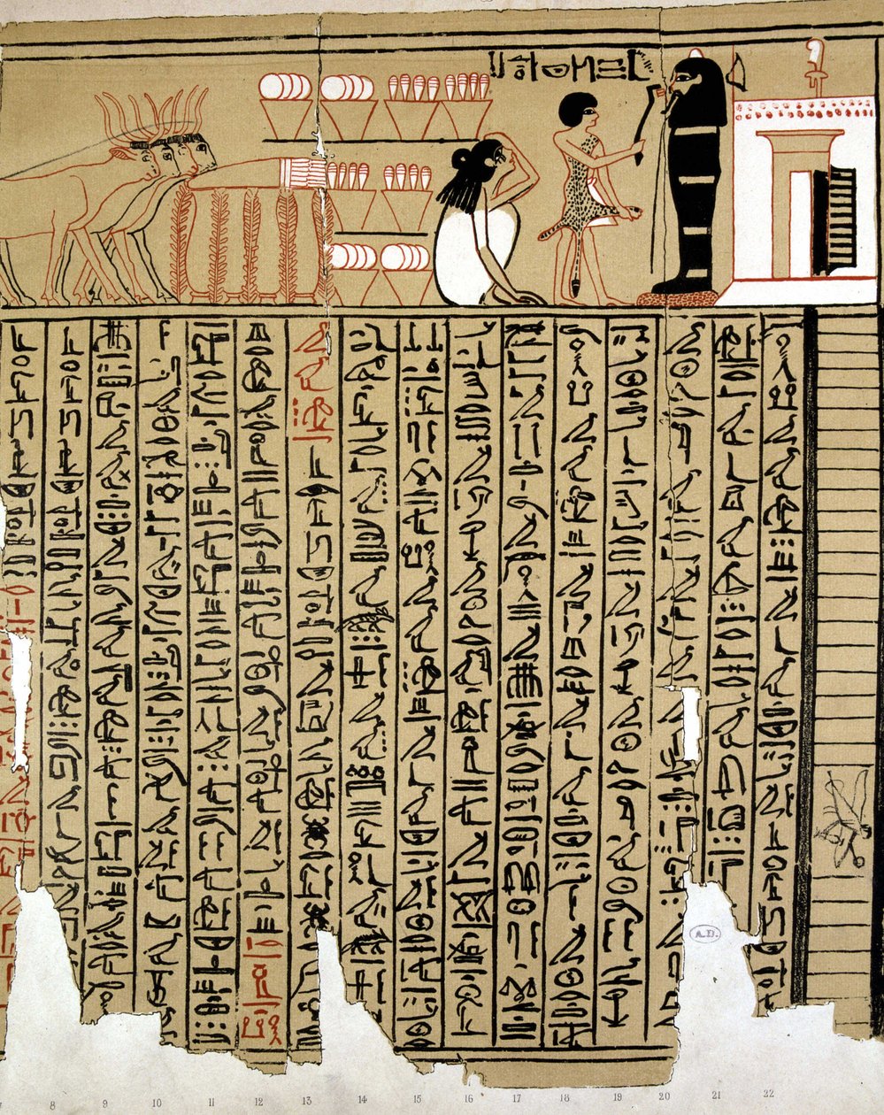 Mısır Hiyeroglifleri by School Egyptian