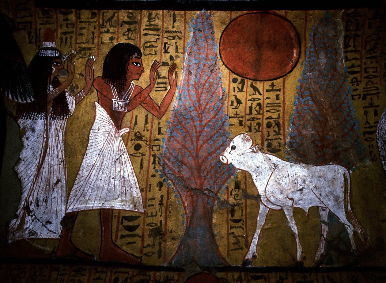 by School Egyptian