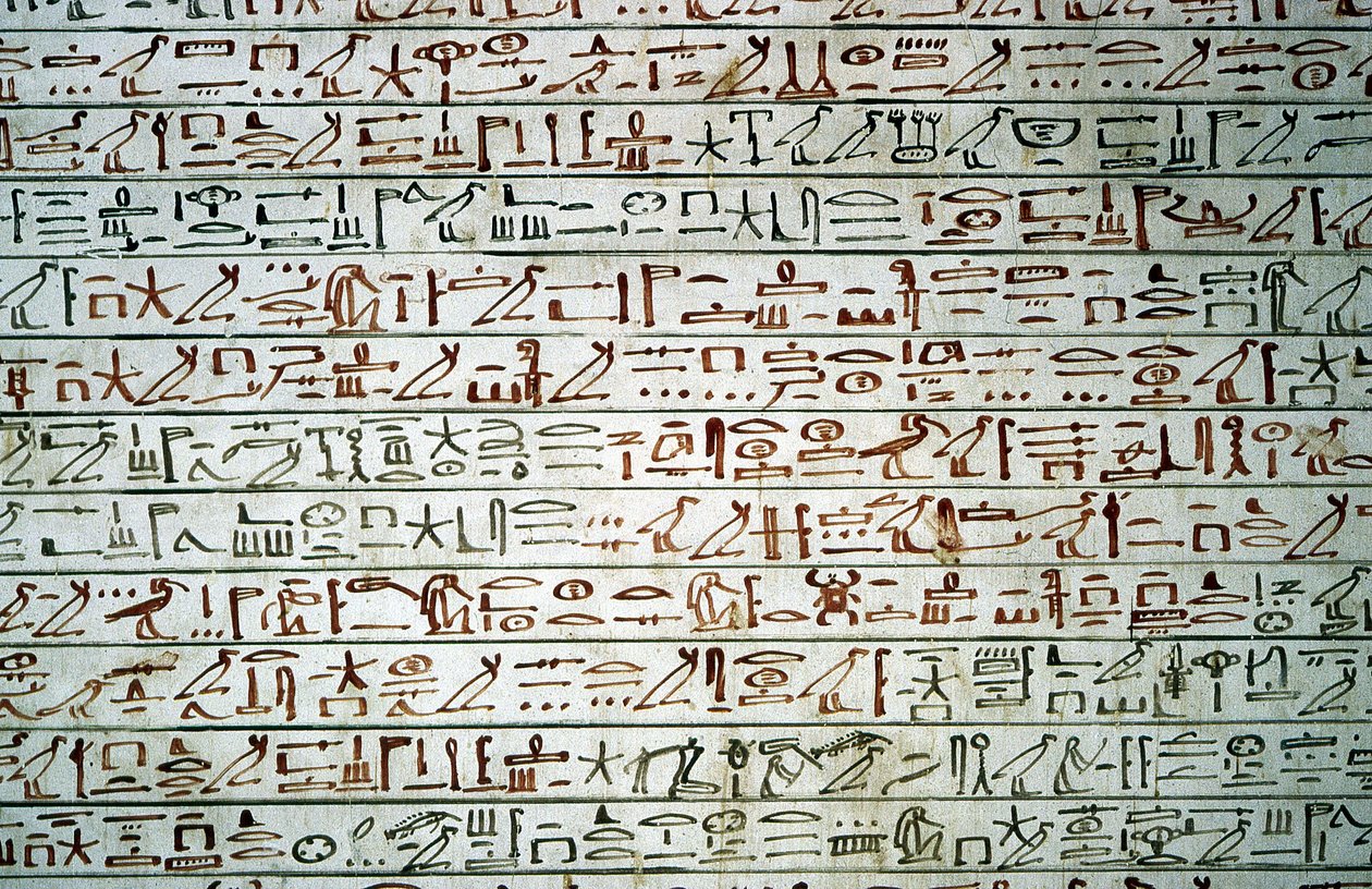  by School Egyptian