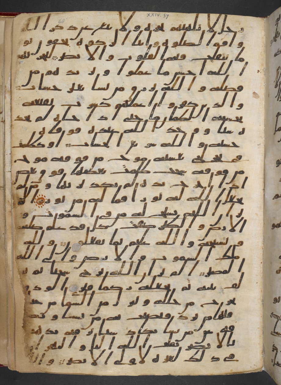  by School Egyptian