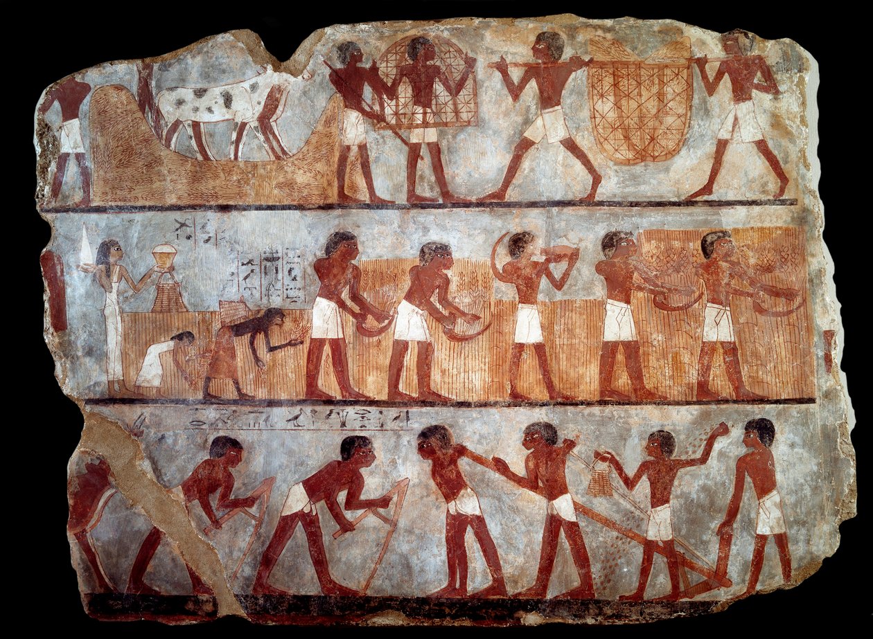 Katip Unsou'nun mezarından ekmek ve anma (fresk) by School Egyptian