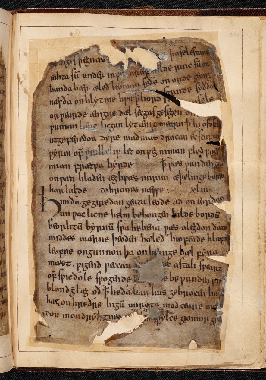 Folyolardan Beowulf