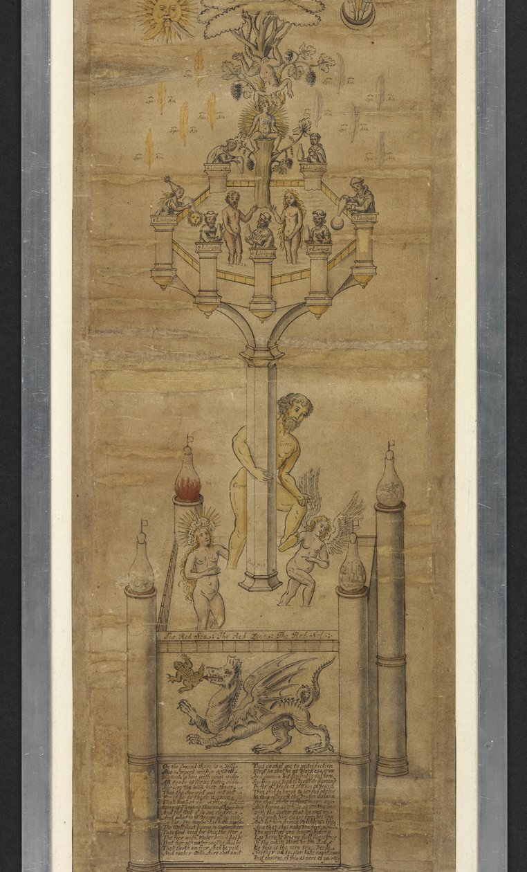 MS 5025 Simya rulolarını (Ripley Scrolls) ekleyin (kağıt üzerinde mürekkep ve renk) by School English