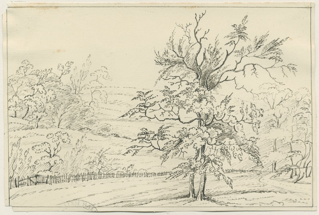Cannock Chase: kalem ve karakalem, nd [?19th Century] (çizim) by School English