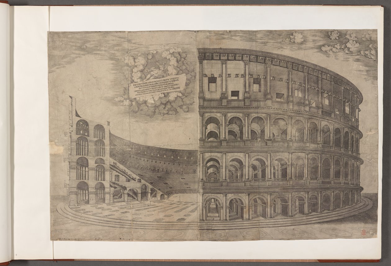 Pamuk Augustus III, f.53 Kolezyum.   Özellikle Roma