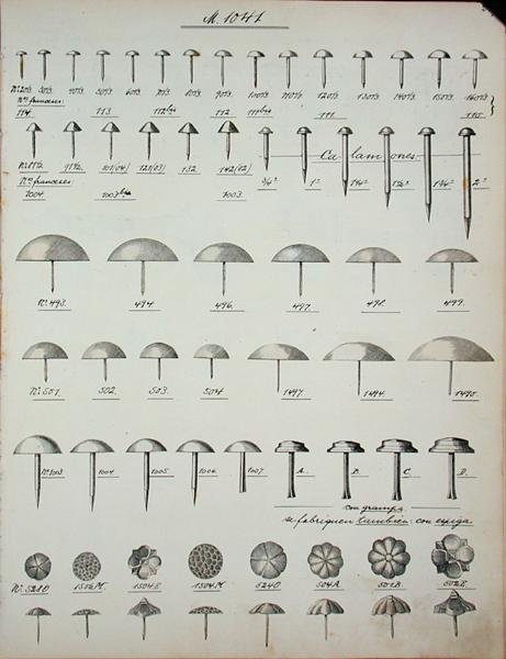 Çiviler, raptiyeler ve pimler, bir yerli mal ve aksesuar ticaret kataloğundan, c.1890-1910 (lito) by School English