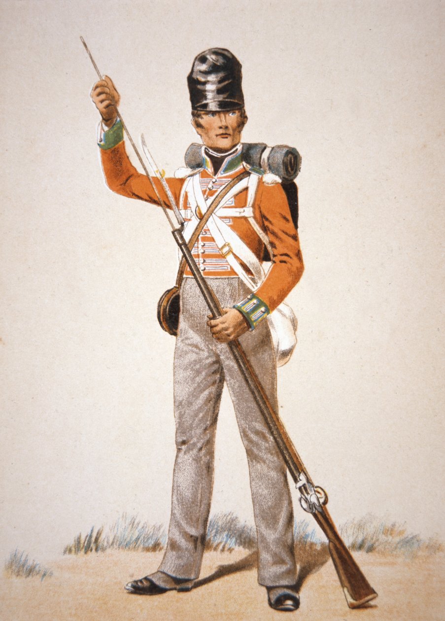Wellington Ordusu: 1815