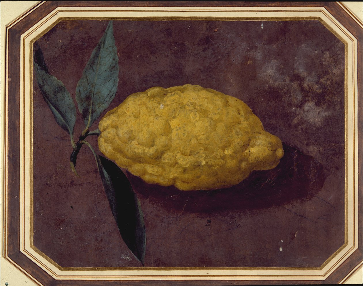 Limon (kağıt üzerine sulu boya) by School European