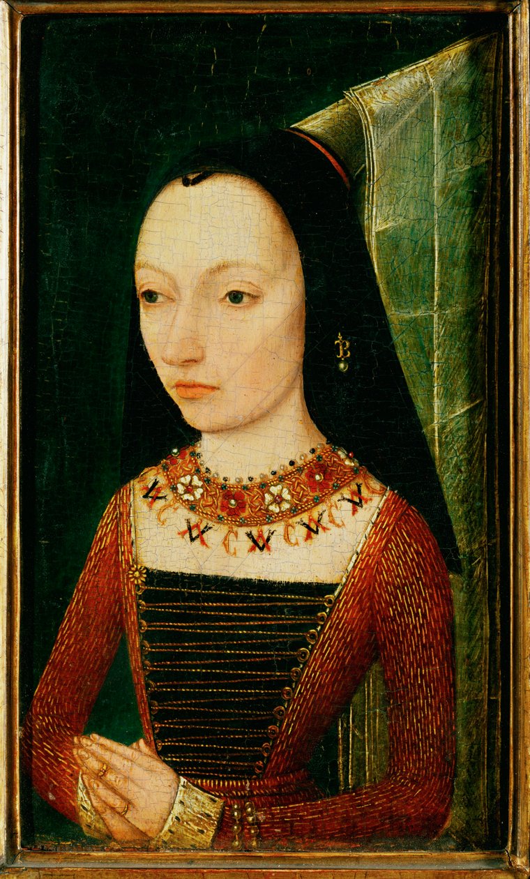  by School Flemish