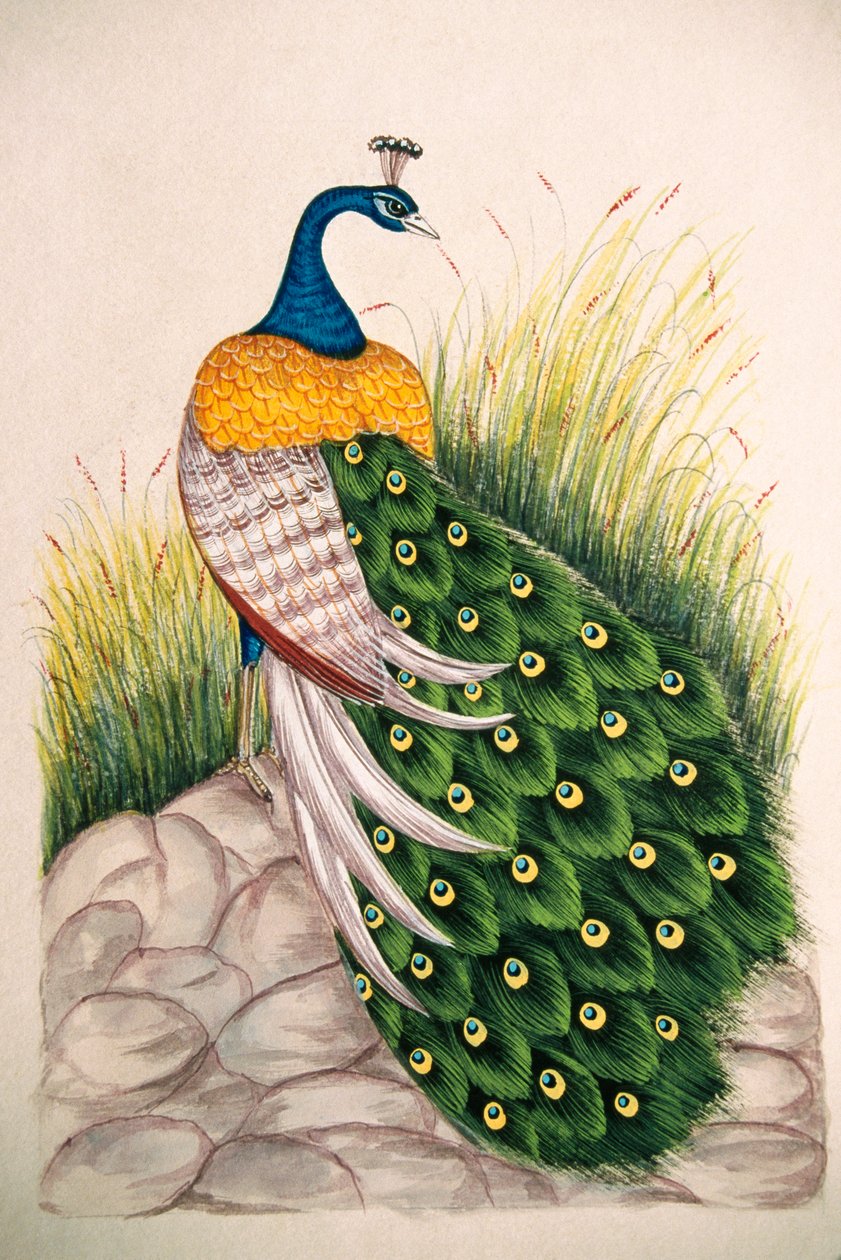  by School Indian
