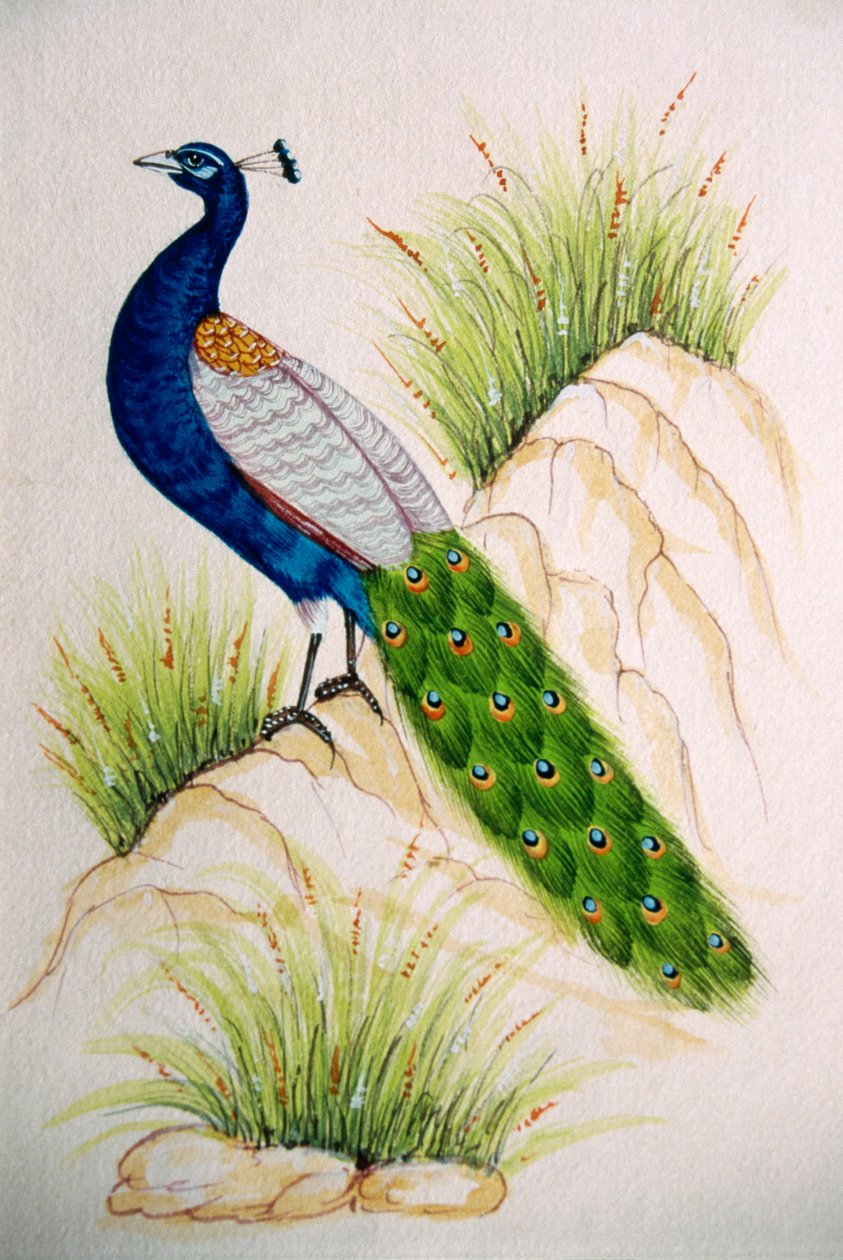  by School Indian