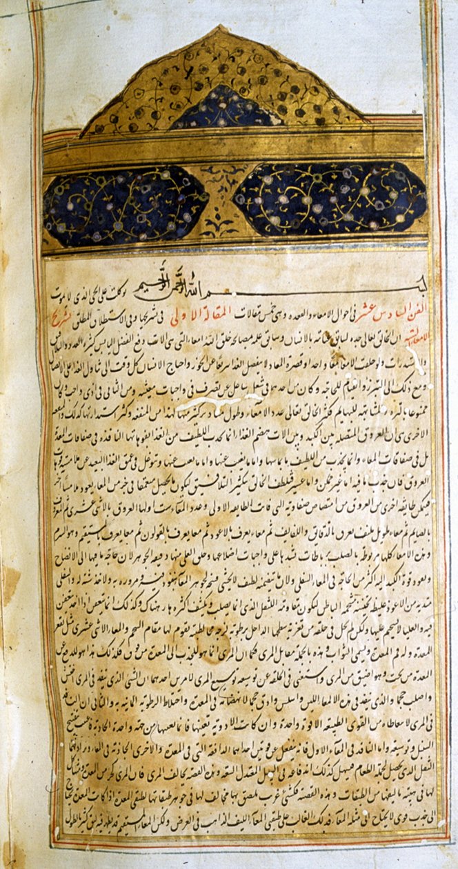 Avicenna'nın The Canon of Medicine (al-Qānūn fī aṭ-Ṭibb) adlı kitabından bir sayfa by School Iranian